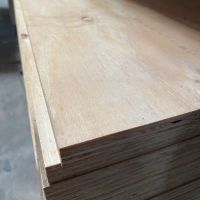 Bausperrholz Pitch Pine 2500x1250x21mm